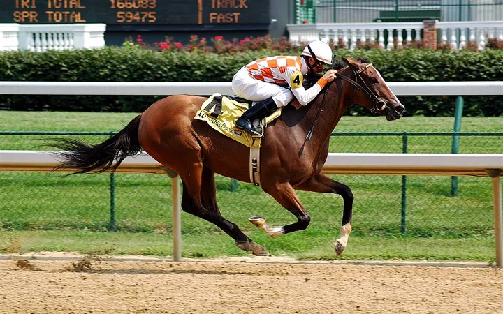 Thoroughbreds racing at Churchill Downs